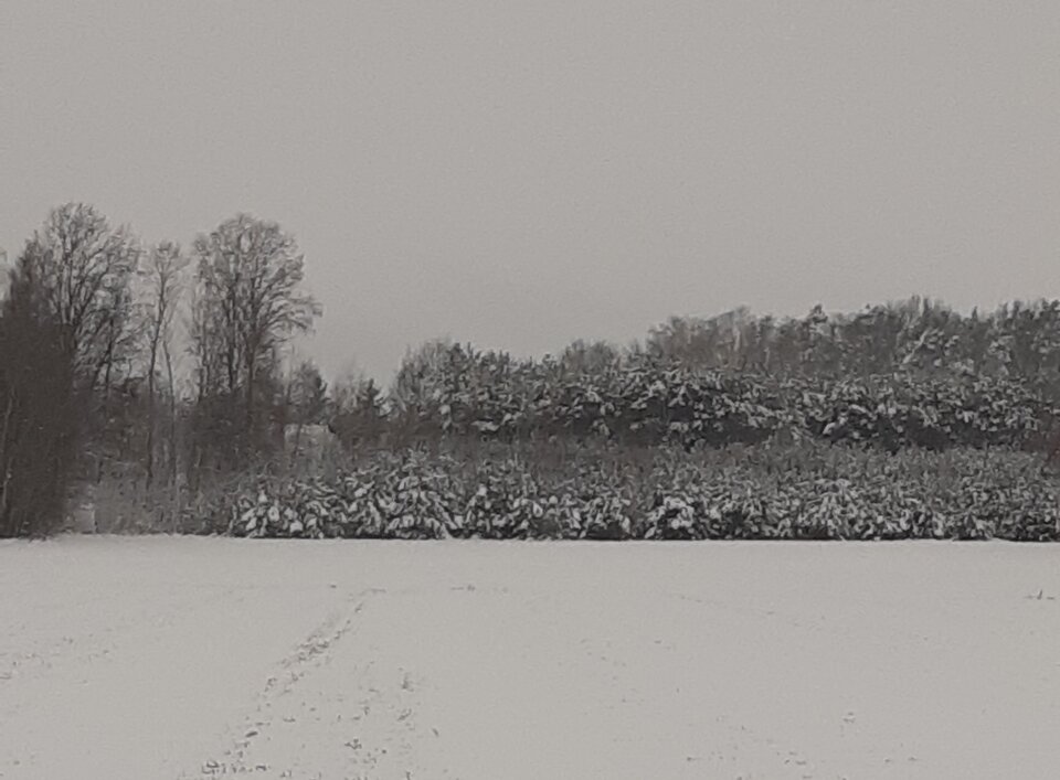 20230121_134042.jpg - love111