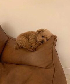 My Dreamy🙏☺️💰