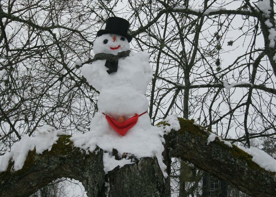 Przecudny bałwanek - Ajsza69