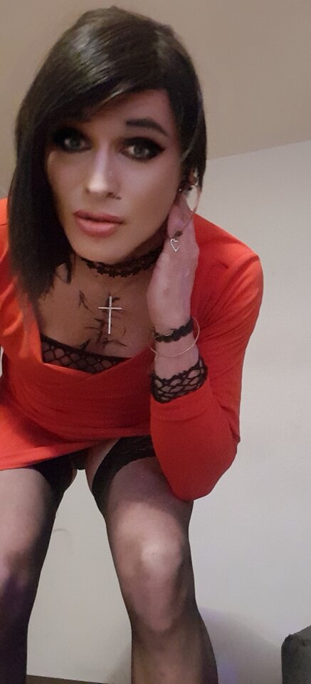 20231205_205656.jpg - TransKitty