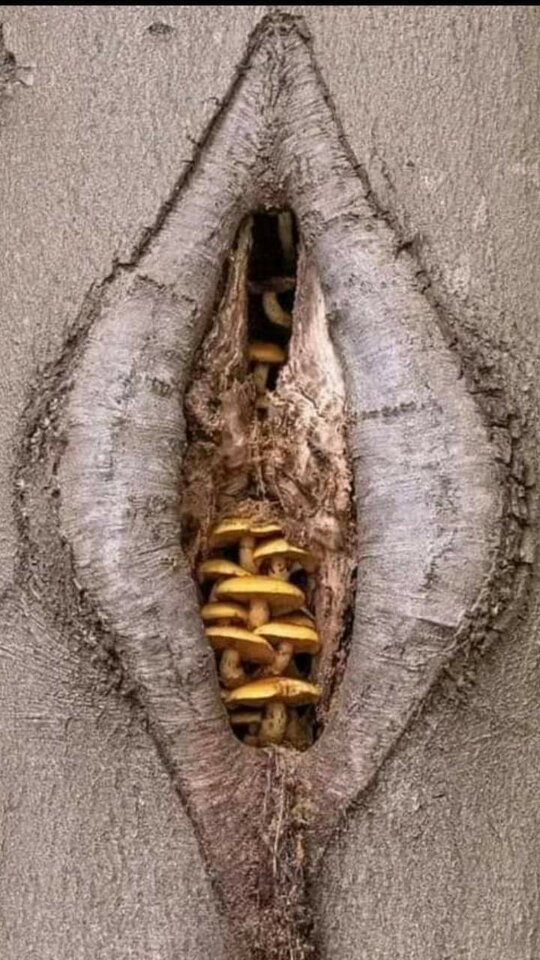 FB_IMG_1701879528713.jpg - Uciech100