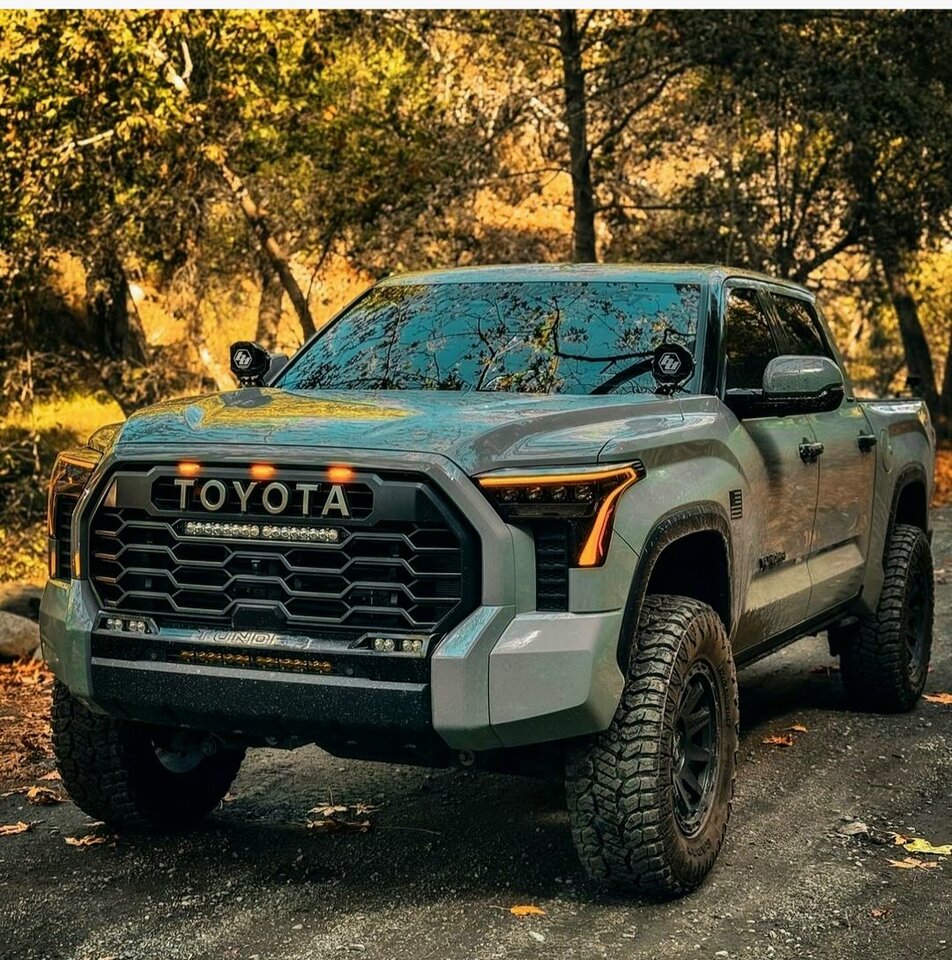 the only car I love - Molly00