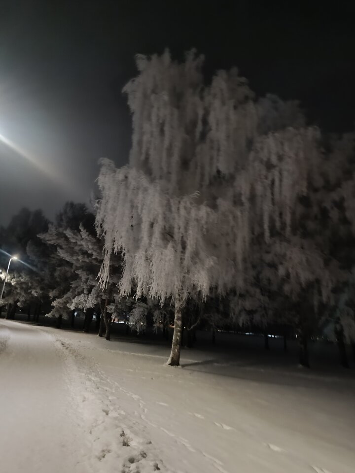 IMG_20231206_222351.jpg - LubieNoc