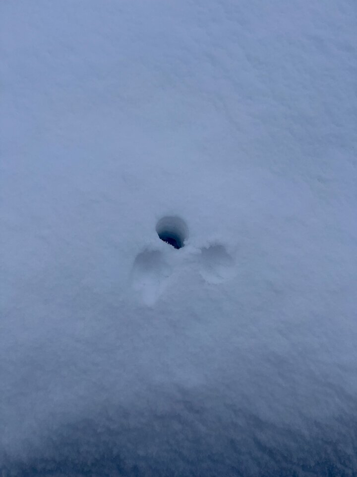 4B0C53E5-3996-47F4-AA31-B543672B0B8D.jpeg - Masaztantryczny