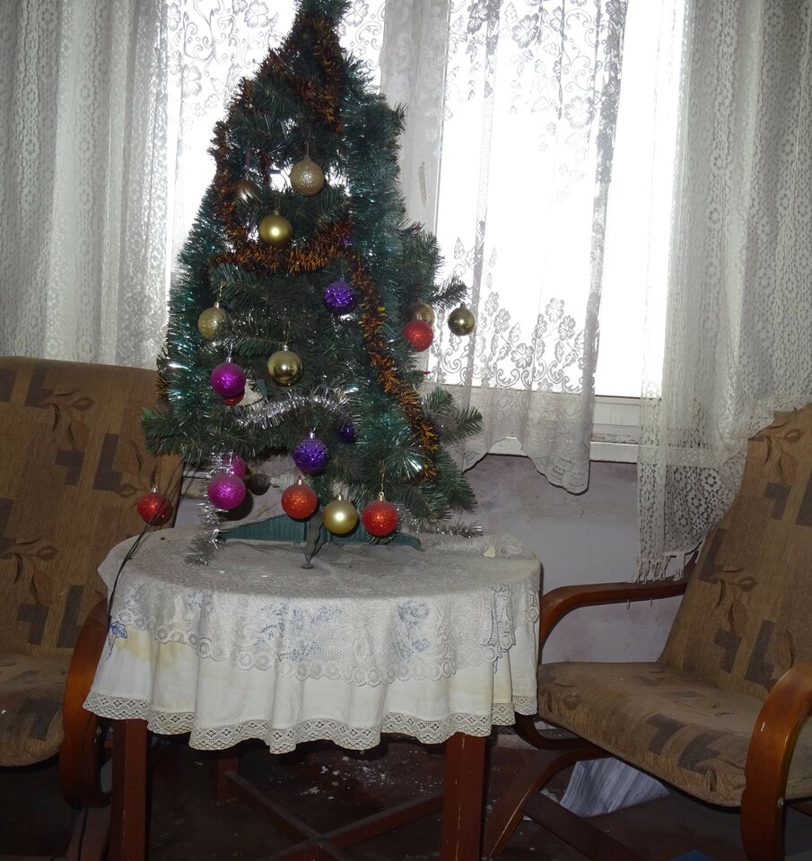 DSC02203.JPG - bojman8