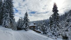 🥶🥶🥶🤍🤍🤍