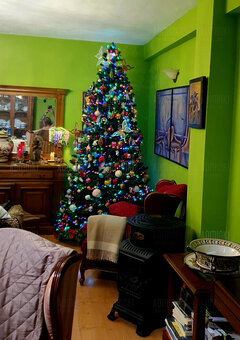 Juz ubrana i gotowa 🌲🌲🌲🌲❤️❤️🇪🇸🇪🇸