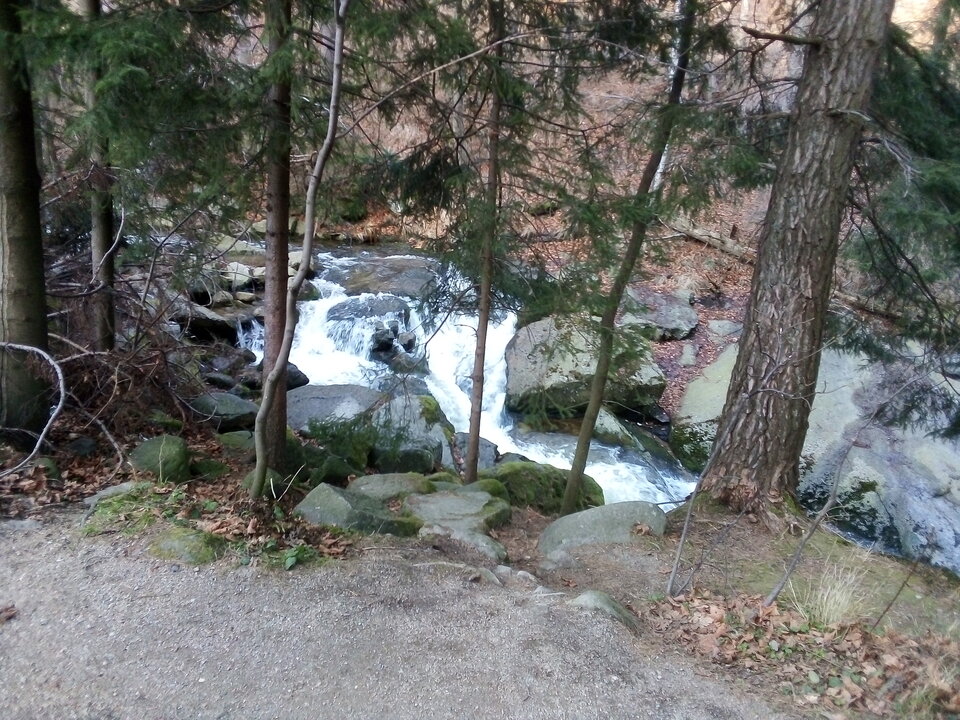 honda itp 009.jpg - pluszaki55