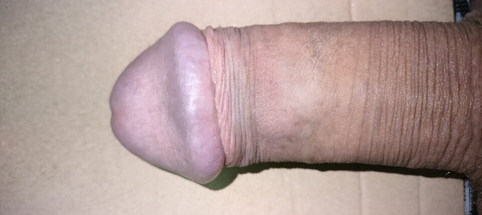 17020138920914239857955868329929.jpg - szatan24
