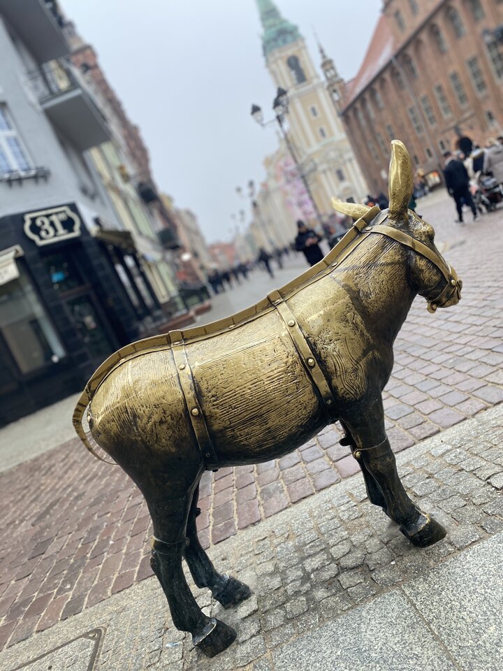 IMG_7516.jpeg - May_Day