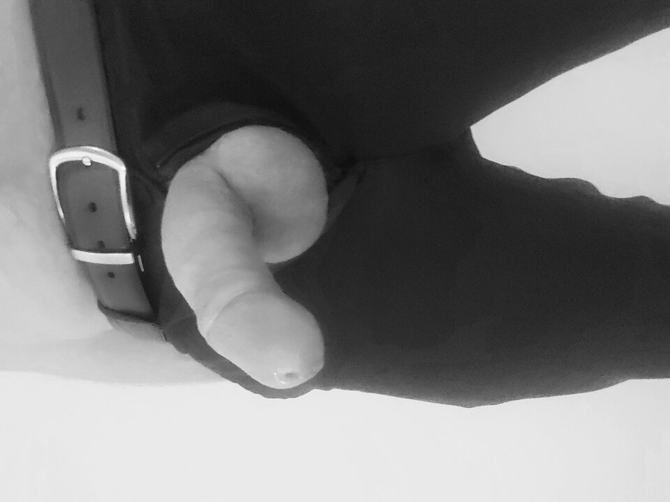 17020431549724983671171114222664.jpg - Giwera86