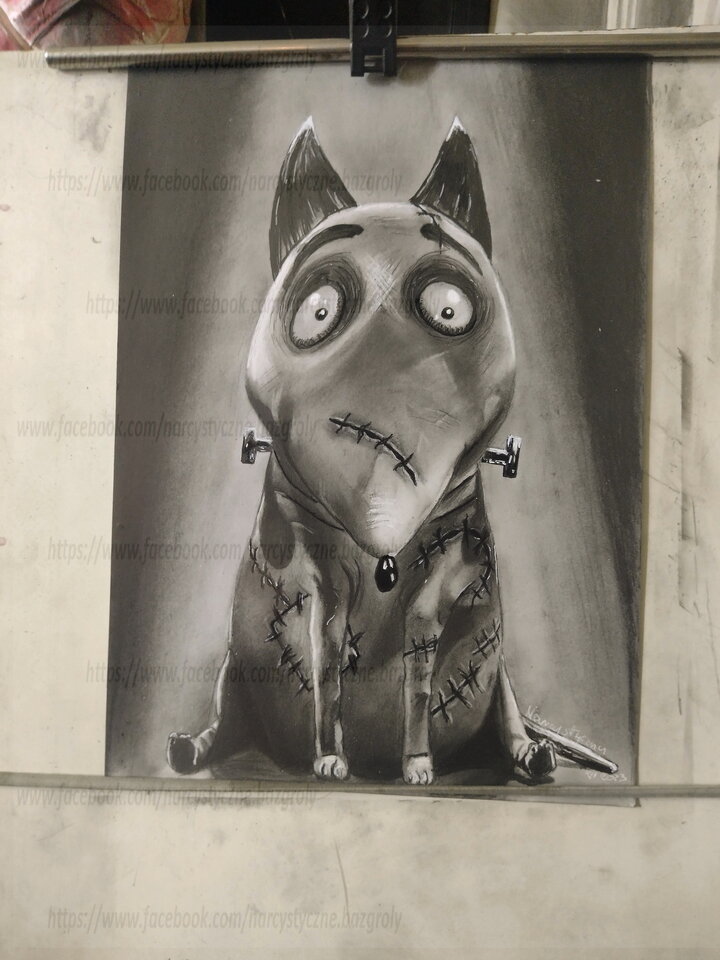 "Frankenweenie" - troszku_proszku