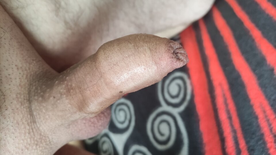 IMG_20231209_091548.jpg - Kriss7788