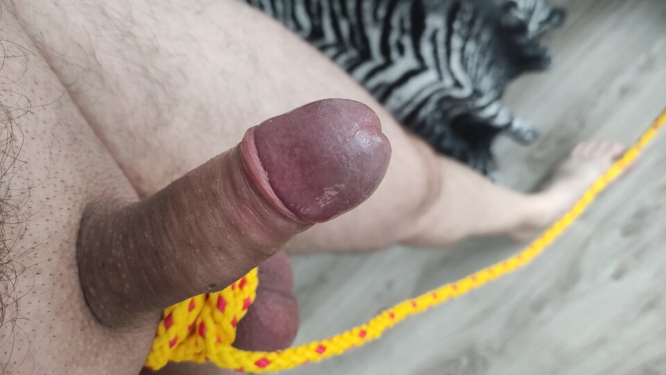 IMG_20231209_091209.jpg - Kriss7788