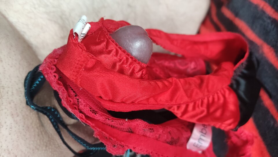 IMG_20231209_091337.jpg - Kriss7788