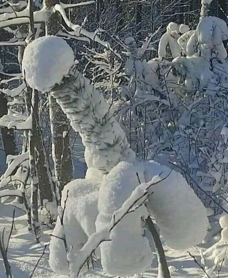 IMG_6442.jpeg - Love7074