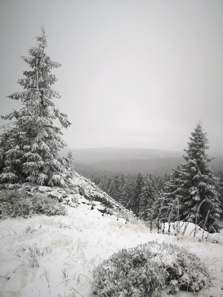 6_zima.jpg - redlips90