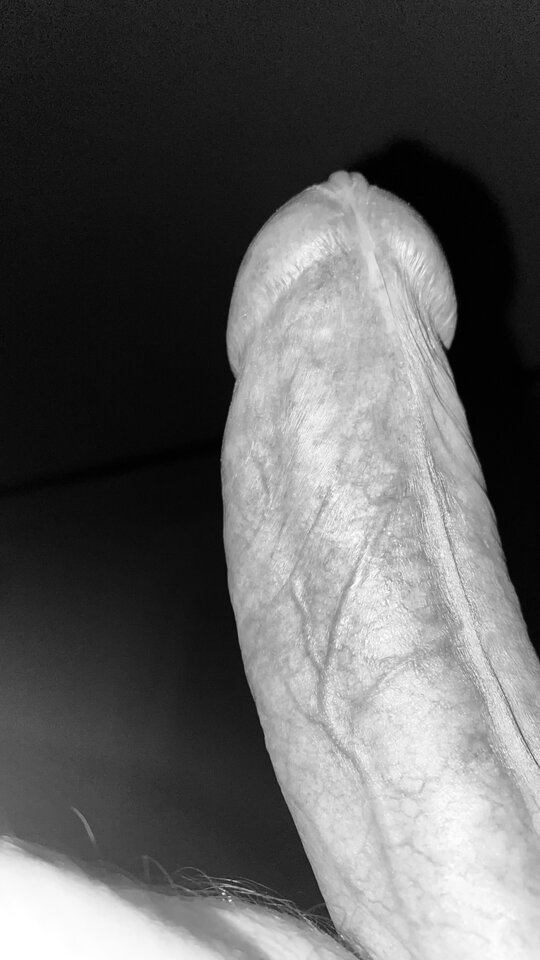 IMG_1213.jpeg - bondjames728