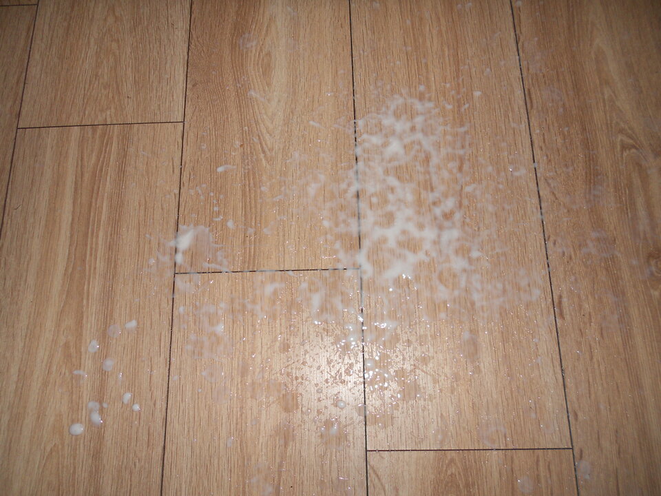 Jogurcik....JPG - Figlarz89