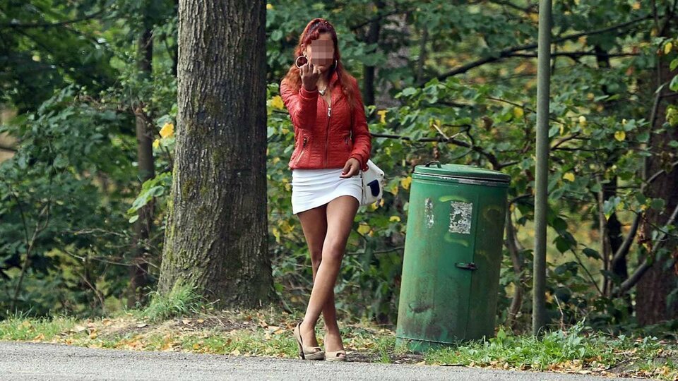 1000003604.jpg - blowjobon