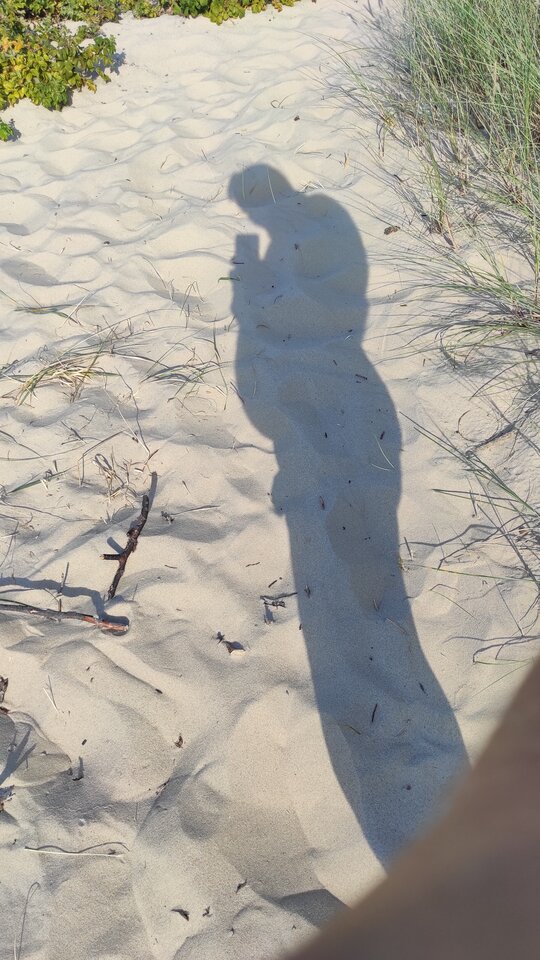 IMG_20230918_145044.jpg - 1306