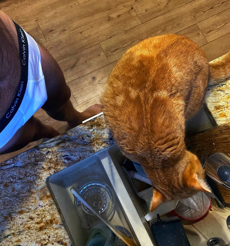 🐷🐷🐷 - serialowapara19782