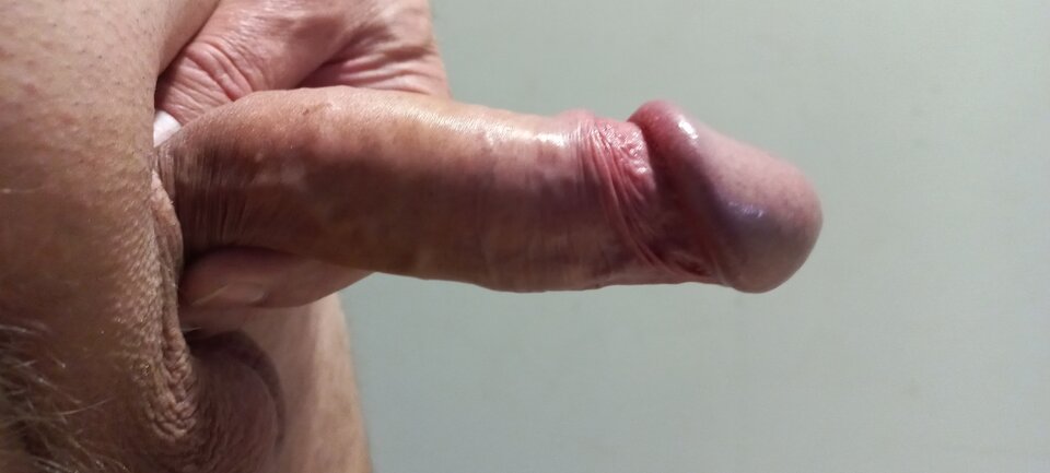 1000001156.jpg - andreas222