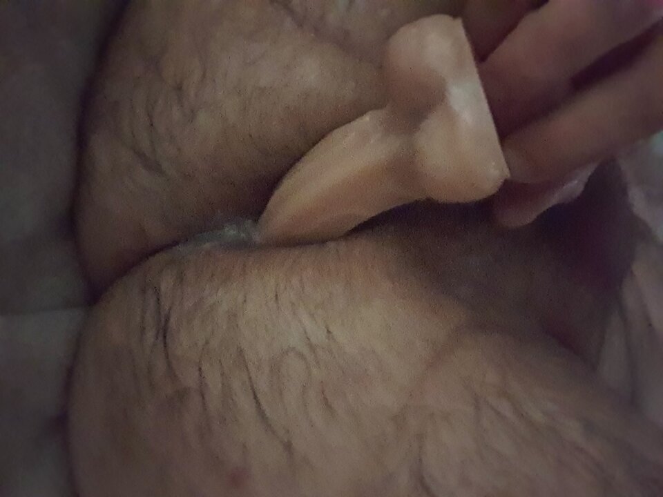 20220708_131543.jpg - toxict