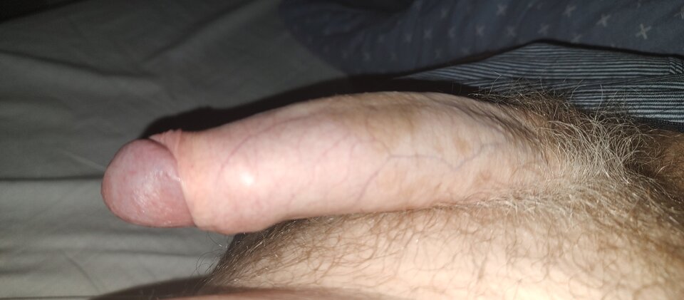 IMG_20231208_203726068.jpg - Yanek73