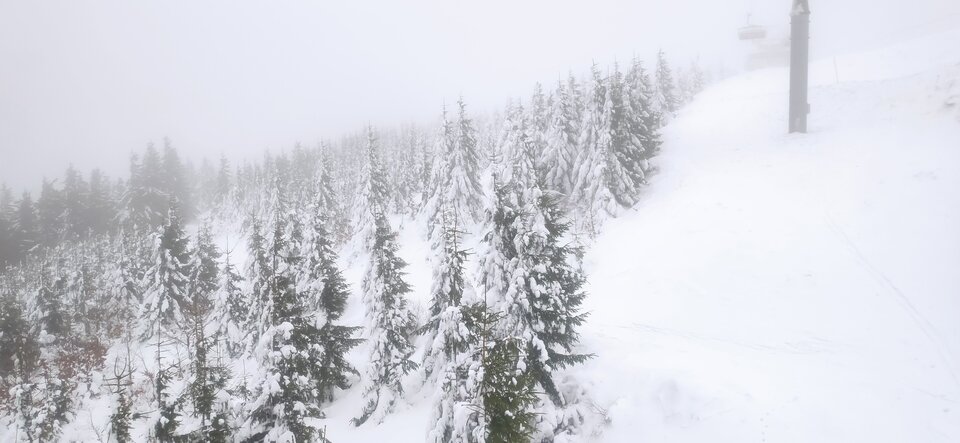 IMG_20231213_093228.jpg - Saint84