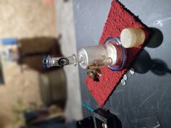 IMG_20231214_034459.jpg