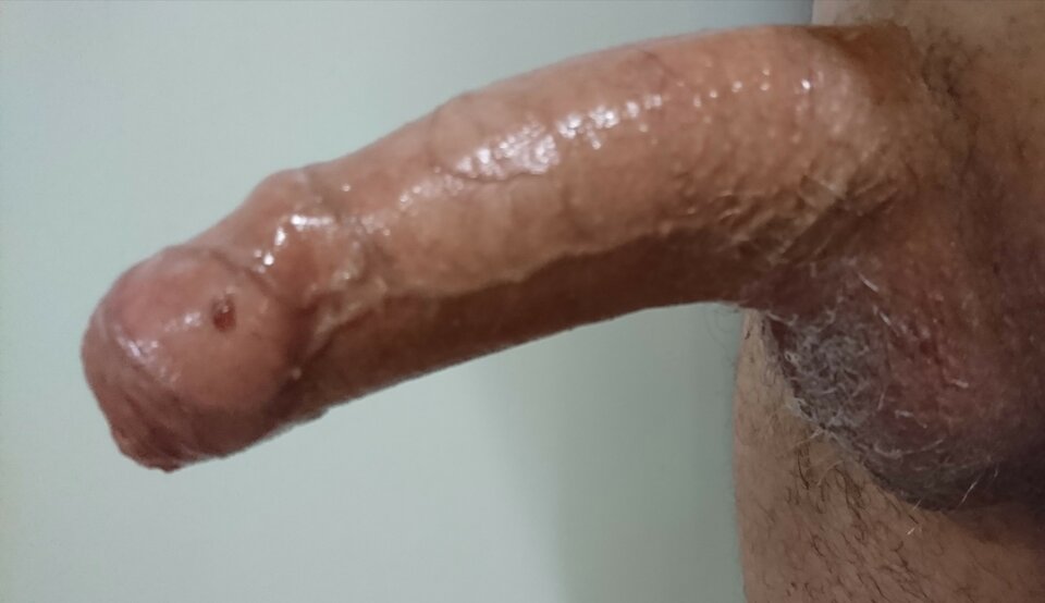 Fckr300.JPG - assface