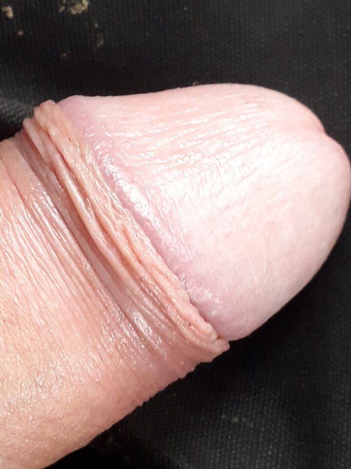 20241009_101521.jpg - 11igor11