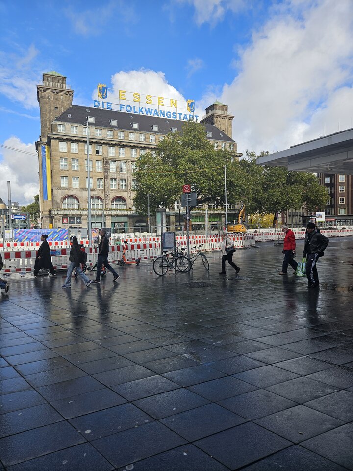 20241010_130221.jpg - Rose45