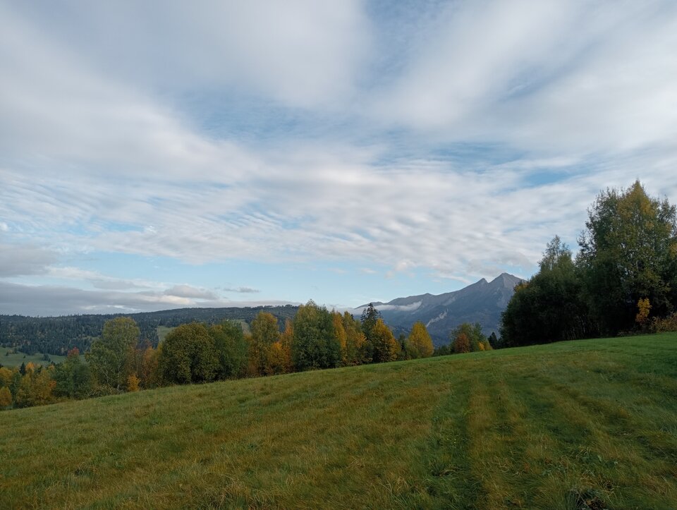 17285705266596554339133962947650.jpg - tropiciel123