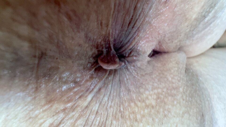 IMG_3872.jpeg - Paraszuka50fajnejzabawy