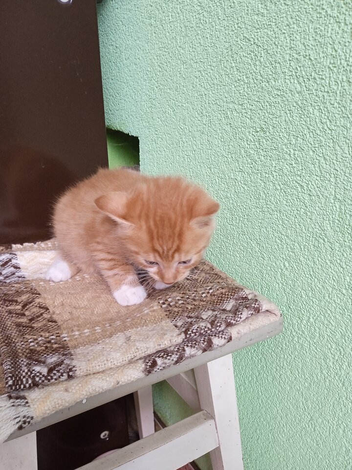 IMG_20230612_144558.jpg - kwas123