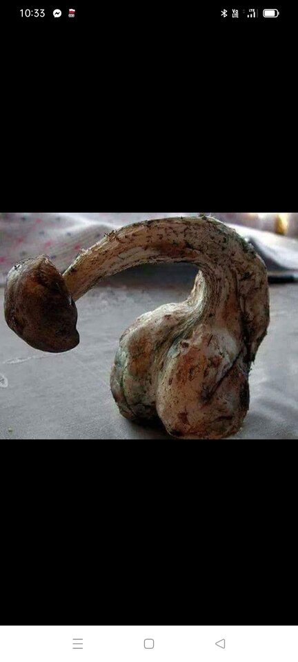 Screenshot_2024-10-11-10-33-41-05_a23b203fd3aafc6dcb84e438dda678 - Byk1313