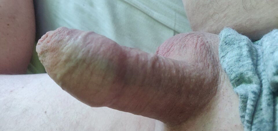 IMG_20241011_111149.jpg - fajnykutasek25