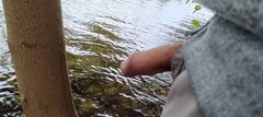 1000061224.jpg