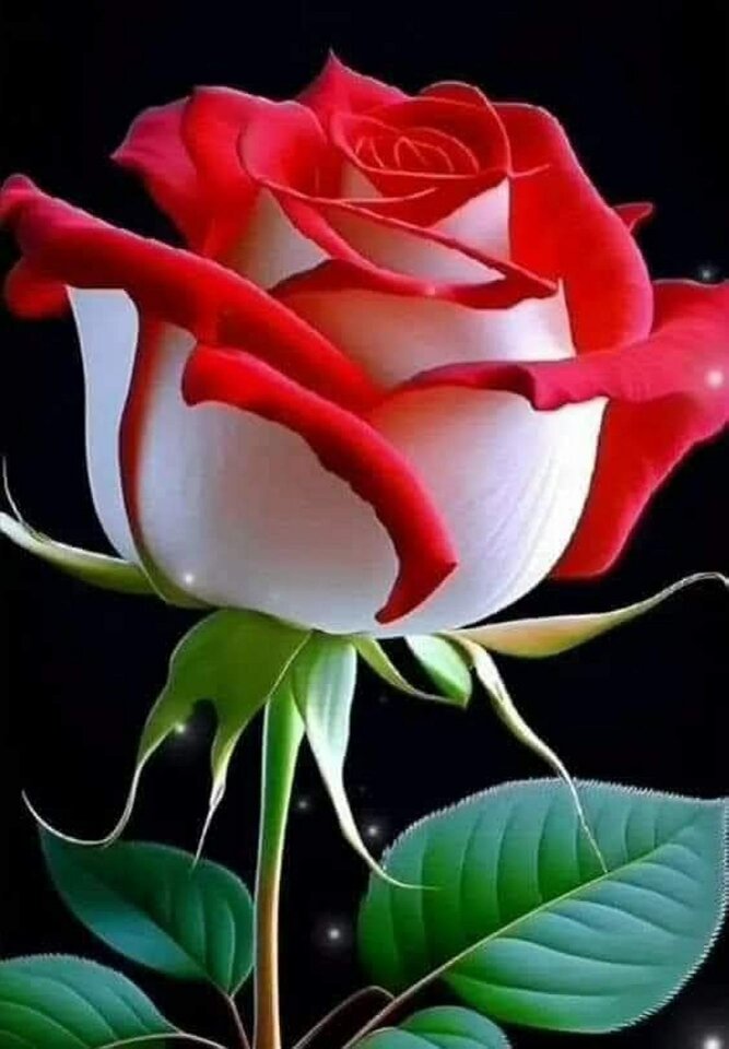 IMG-20240707-WA0002.jpg - Mature70