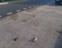 Przyznać się... Kto zgubił? 