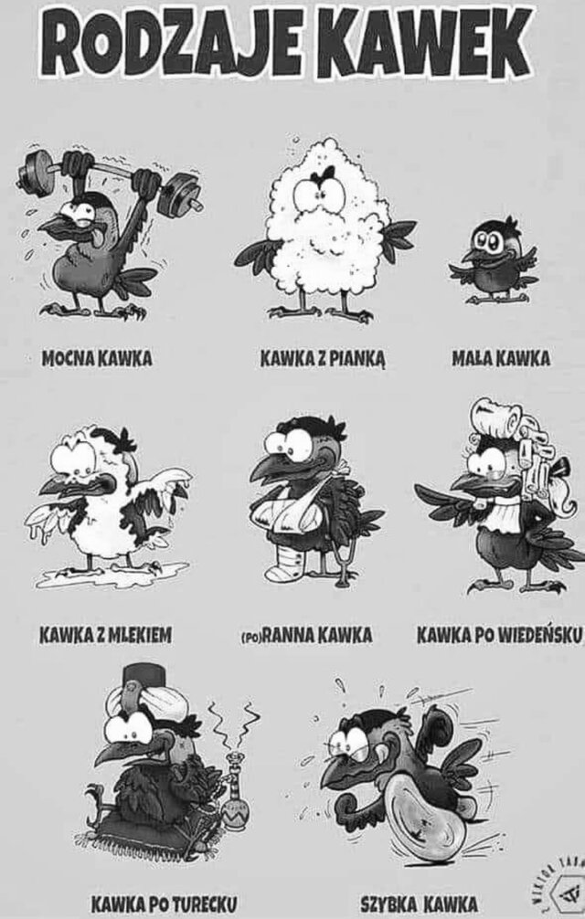 zmcpara13