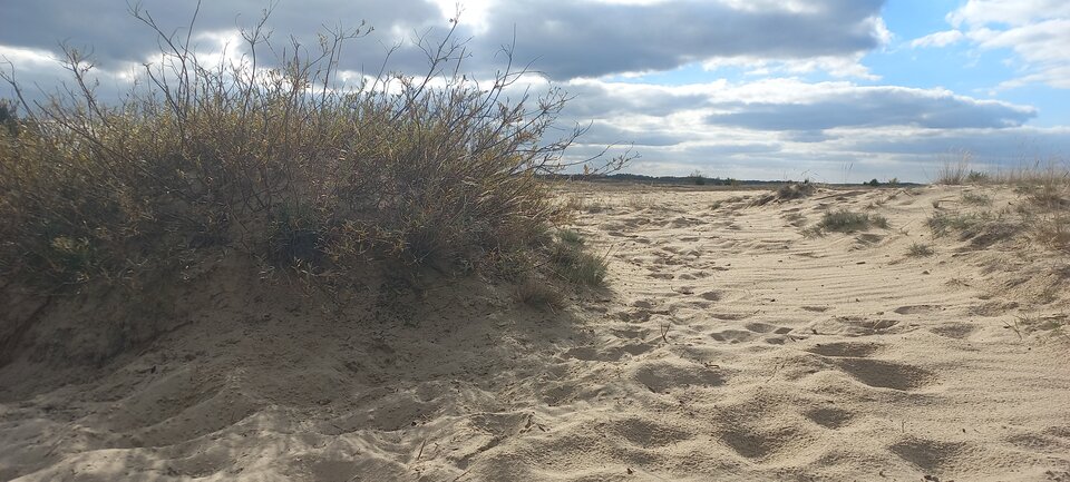 1000013372.jpg - Ann_holy