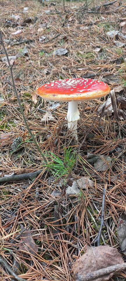 1000013368.jpg - Ann_holy