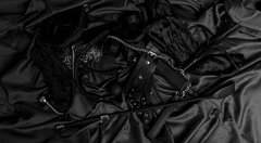 Suka zasłużyła na solidną karę 😈