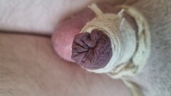 20241012_170410.jpg