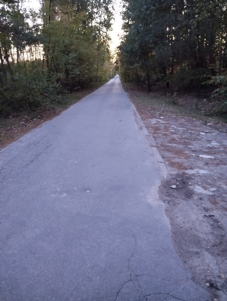 1000004659.jpg - zgrubym