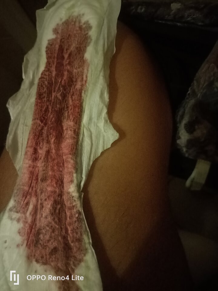 IMG20241011170343.jpg - rasowa_suka45