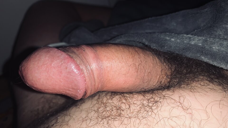 IMG_1323.jpeg - Nomada001